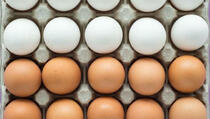 Postoji li zapravo razlika između smeđih i bijelih jaja?