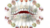 Svaki zub je povezan sa organom u vašem tijelu: Bol zuba predviđa problem sa organom!
