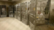 Skočile dionice privatnih zatvora u SAD-u