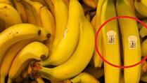 Nipošto ne kupujte banane s ovom etiketom, ako već jeste - odmah ih bacite!