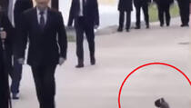 Snimak na kojem golub otpozdravlja Putina je viralni hit (VIDEO)