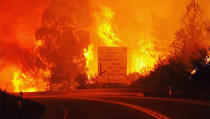 Video: Najmanje 43 mrtvih u požaru u Portugalu
