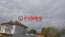Komarci "okupirali" sela u okolini Podujeva (VIDEO)