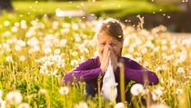 Vrijeme je alergija, sve češće dišete na usta, uz pomoć ovih trikova odčepite nos za čas
