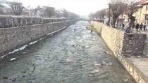 Prizren: Čišćenje rijeke Bistrice (VIDEO)