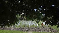Obilježavanje 23. godišnjice genocida u Srebrenici (UŽIVO)