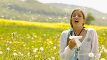 Proljetne alergije ne treba zanemarivati, posljedice često mogu biti opasne po život