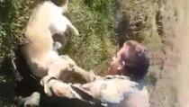 Srbijanski vojnik uzima psa u ruke, a zatim mu strahovitim udarcem lomi vrat (VIDEO +18)