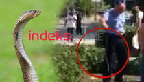 Klina: Policajac bez "straha" uhvatio zmiju i odveo (VIDEO)