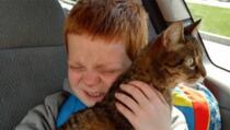 Pogledajte susret autističnog dječaka i njegove prijateljice - mačke (VIDEO)