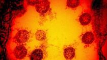 Novi soj koronavirusa pronađen u osam evropskih zemalja
