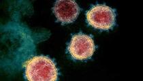 Lauc o novom soju virusa koji se pojavio u Britaniji: Ima li dokaza da je opasniji?