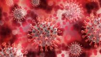 Otkriven lijek koji u roku od 24 sata sprječava širenje koronavirusa