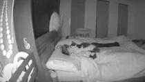 Nadzorna kamera snimila mačka koji pokušava zagrliti svog usnulog vlasnika