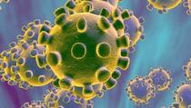 Postoji mogućnost da vakcina neefikasna na mutacijama koronavirusa