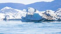 Na Grenlandu otkriven otok koji je najsjevernija kopnena tačka na svijetu