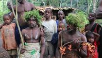 Specifičnosti najnižih ljudi na svijetu: Afrički Pigmeji ne odustaju od drevnog načina života