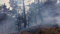Požari još uvijek aktivni u pet sela na Kosovu