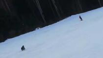 Medvjed na stazi jurio skijaša