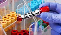 Pet važnih činjenica o delta varijanti koronavirusa