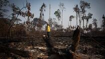 Nastavlja se rekordno krčenje Amazonske prašume