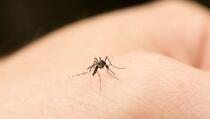 Ovo su najčešći razlozi zašto vas komarci često ujedaju