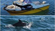 Bizarna nesreća zaprepastila mještane: Na mladića pao kit