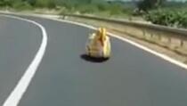 Vozači ostali u čudu: Šta je to malo žuto i vozi se po cesti kod Zadra