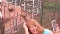Htjela da napravi selfie pa joj kamila iščupala pramen kose