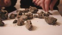 U Sahari otkriven meteorit koji je stariji od zemlje