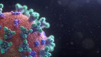 Otkriveno koliko dugo antitijela ostaju u organizmu nakon infekcije?