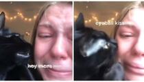 Žena snimila mačku koja je pokušava utješiti dok plače, video je hit