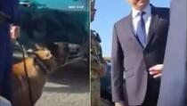 Policijski pas na granici lajao na srpskog ministra Vulina kad mu je prišao