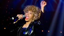 Tina Turner za 50 miliona dolara prodala prava na svoj muzički opus