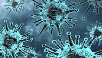 Korona virus nije razvijen kao biološko oružje