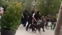 Snimali spot pod maskama i sa psima, zaradili prekršajnu prijavu