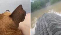 Tinejdžerka spasila svog psa od poplave, pet sati na krovu čekali pomoć