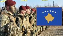 Shkurov: Pojedini građani Kosova zainteresovani da učestvuju u odbrani Ukrajine