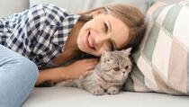 Kraljice šašavosti: Zašto mačke vole spavati na glavi svog vlasnika?