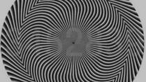 Optička iluzija posvađala internet: Koje brojeve vi vidite?