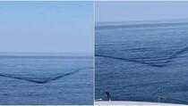 Snimili strašan trenutak u kojem se morski pas od šest metara približava brodici