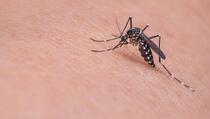 Zašto ubod komarca svrbi, kako taj svrab ublažiti i šta ne treba činiti kada vas ubode