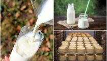 Šest promjena u tijelu koje se dogode kada se iz prehrane izbace mliječni proizvodi