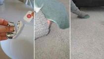 Žena pokazala kako se sa poklopcem i krpom besprijekorno očisti tepih