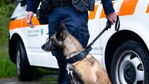 Švicarska: Policijski pas zaustavio dvojicu Kosovara osumnjičenih za krađu