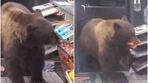 Medvjed ušao u prodavnicu i odnio namirnice, uposlenik ostao šokiran