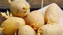 Kako sačuvati hranu: Spriječite klijanje krompira genijalnim trikom