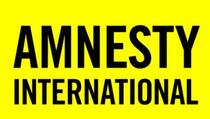 Amnesty International: Kosovske vlasti izneverili žrtve nasilja u porodici