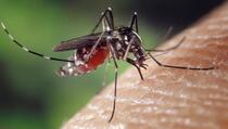 Slučajno otkriće naučnika pomoglo u liječenju malarije