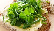 Bolja i od cvekle: Ova salata je proglašena najzdravijom na svijetu